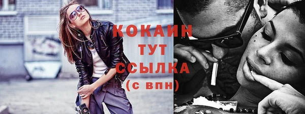 индика Инсар