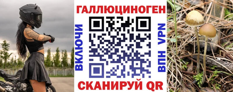 Галлюциногенные грибы мицелий  Теберда 