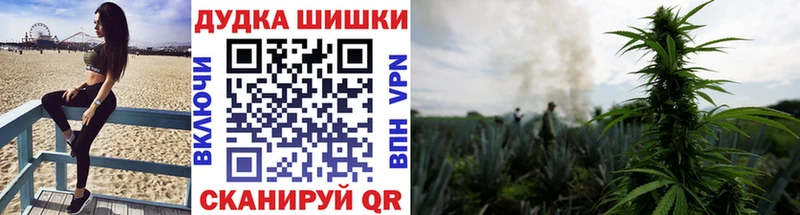 Каннабис сатива  Теберда 